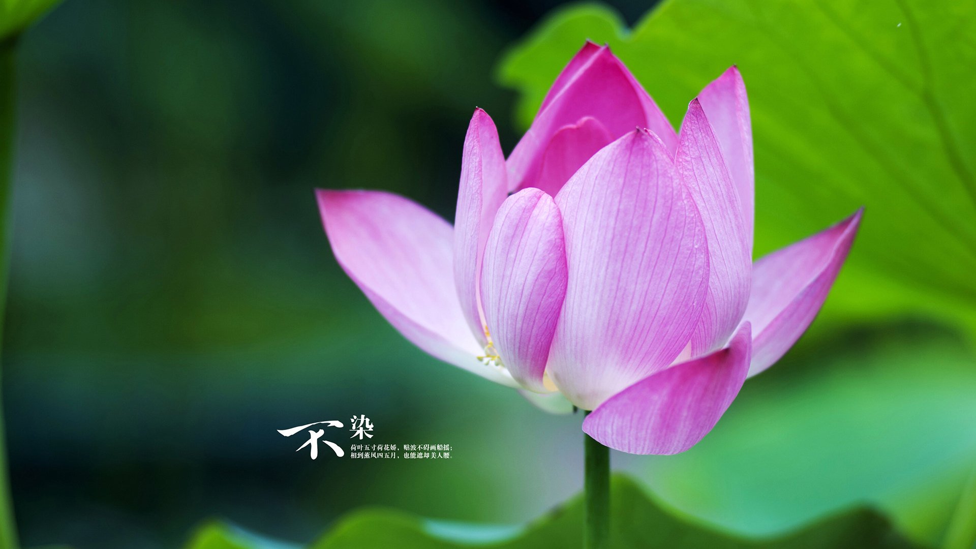 kaiyun体育综合-勇士推出“黄金十年回顾展”，重温王朝辉煌瞬间，勇士奖励黄金