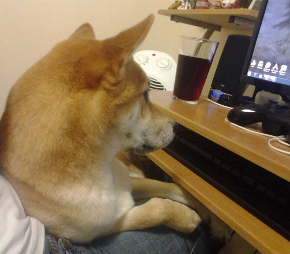 开云官方-史上最黑马队伍逆袭之路，你支持哪支？，黑马逆袭的意思