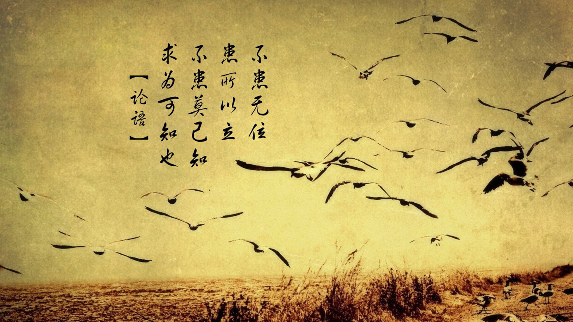 开云网站-布鲁诺·卡博克洛在NBA夏季联赛中展现进攻多样性，布洛克vs卡里