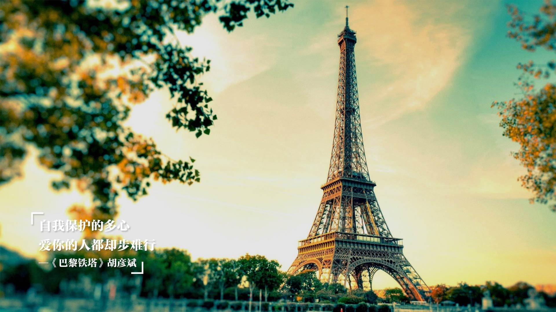 草地网球公开赛：经典与现代的交锋，草地网球适合上网的战术策略