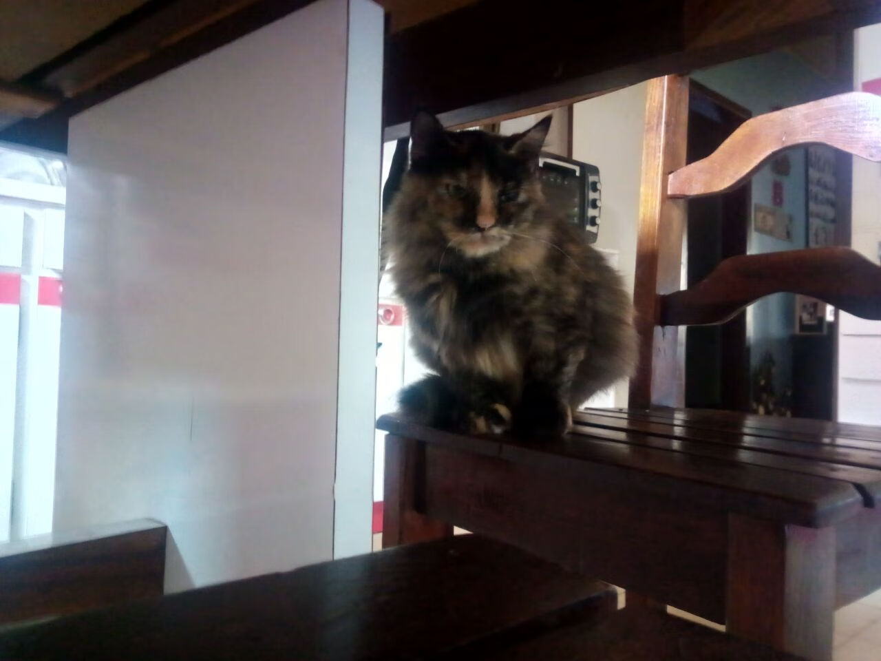 开云官方网页登录-路跑马拉松，城市风光与运动的完美结合，马拉松在公路上跑吗