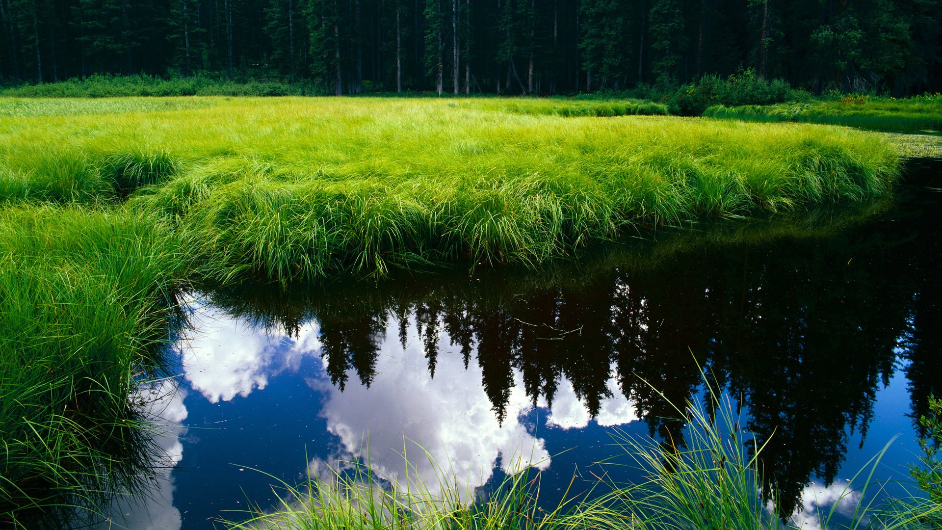开云·Kaiyun网页版-NBA球星自组电竞品牌势头强劲，nba电竞篮球