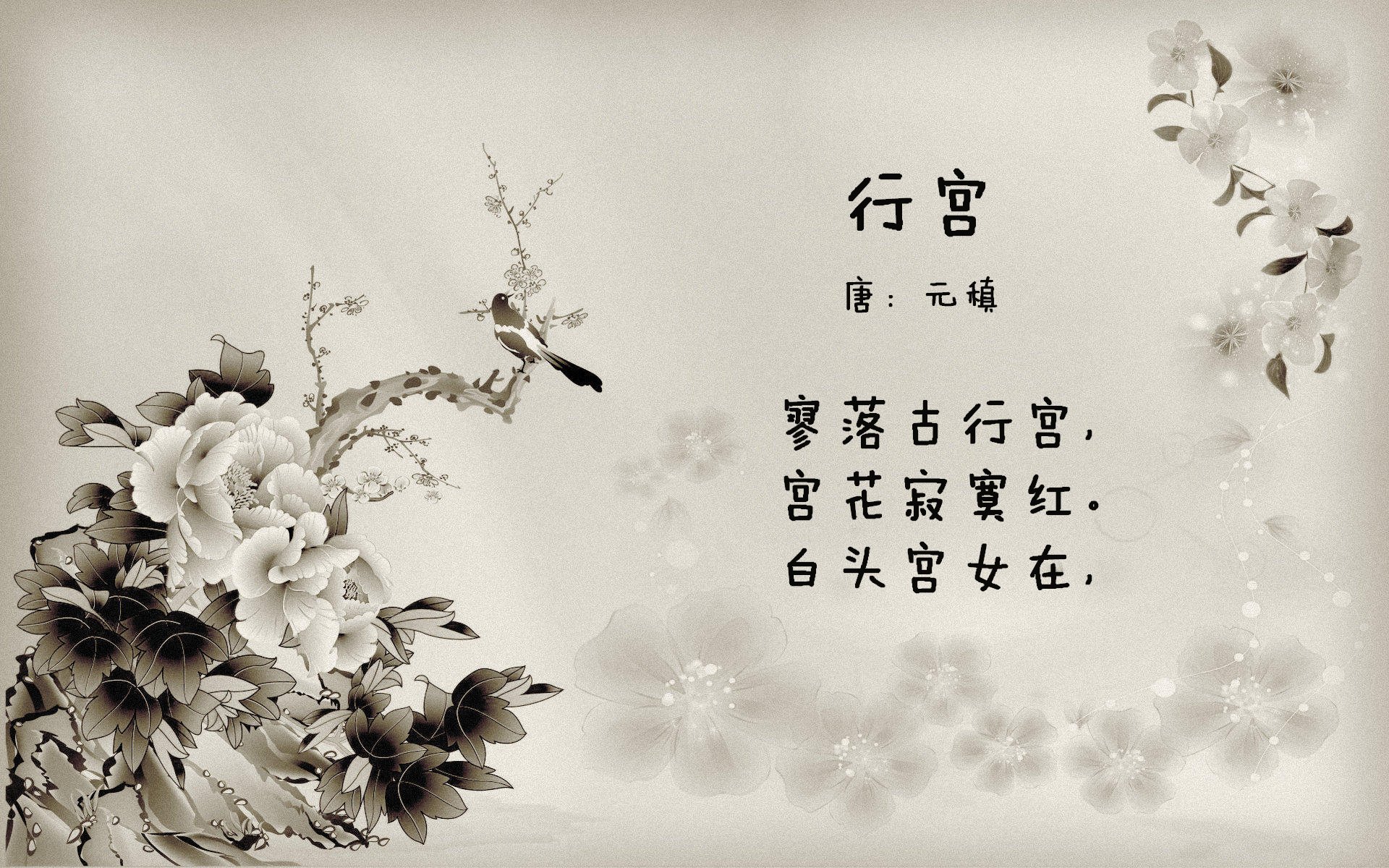 开云·体育官网-线上健身课程受欢迎，学员遍布全国，线上健身教练有用吗