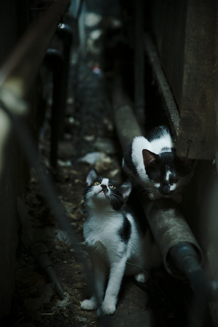 开云体育APP下载-莫克姆体能储备良好，海边之队蓄势待发，莫克姆镇