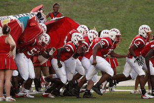 开云体育APP下载-世界青少年庆典运动会精彩纷呈，青春无悔，2021年世界青年运动会在哪里举办