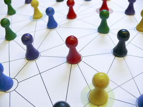 开云网页版-中国篮球教练员战术执行力提升路径分析，中国篮球教练员等级划分标准