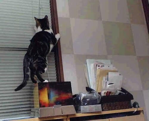 开云kaiyun-中国三人篮球男队坚持科学训练，中国男子3人篮球队