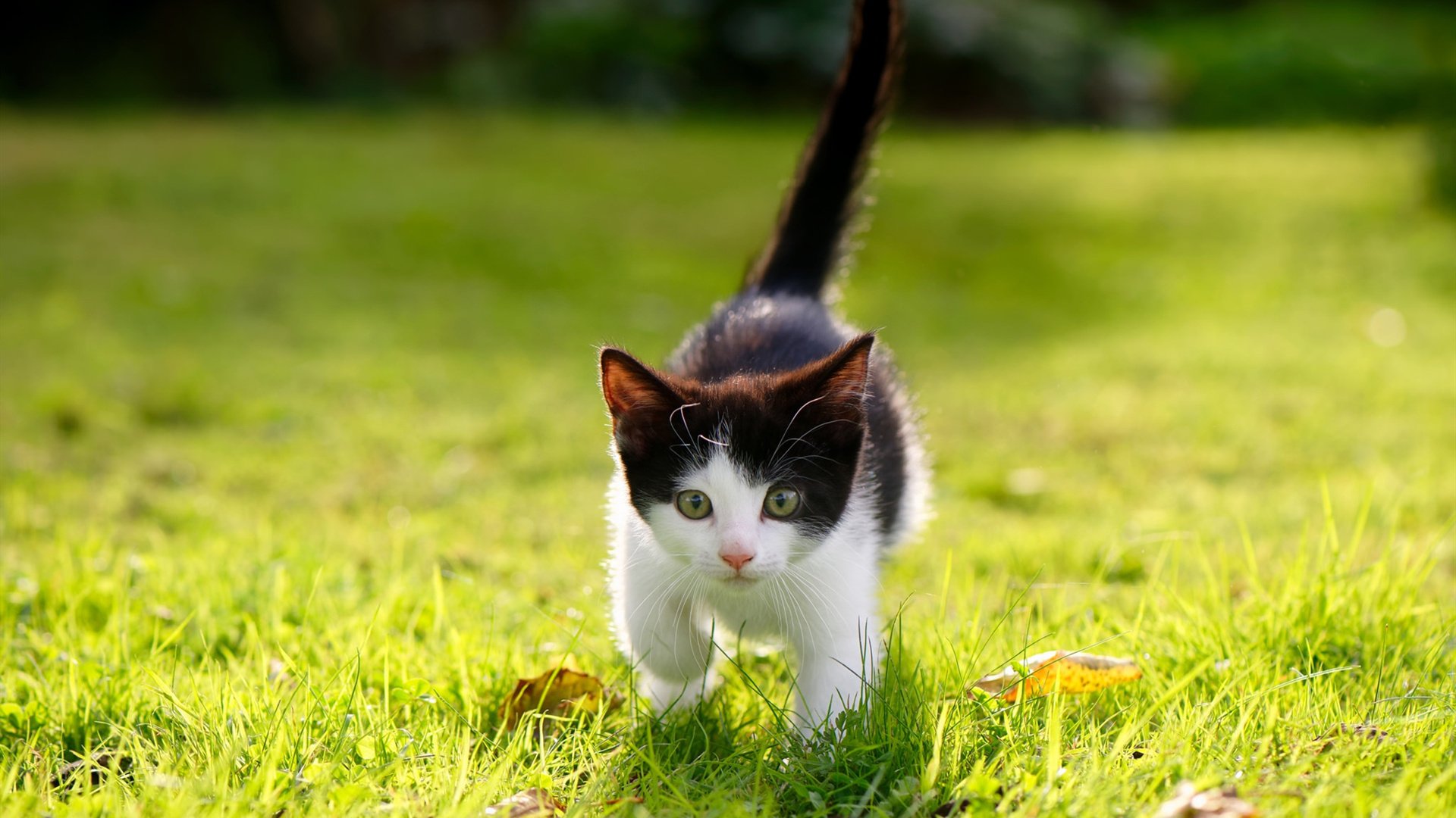 中国三人篮球男队坚持科学训练,中国男子3人篮球队