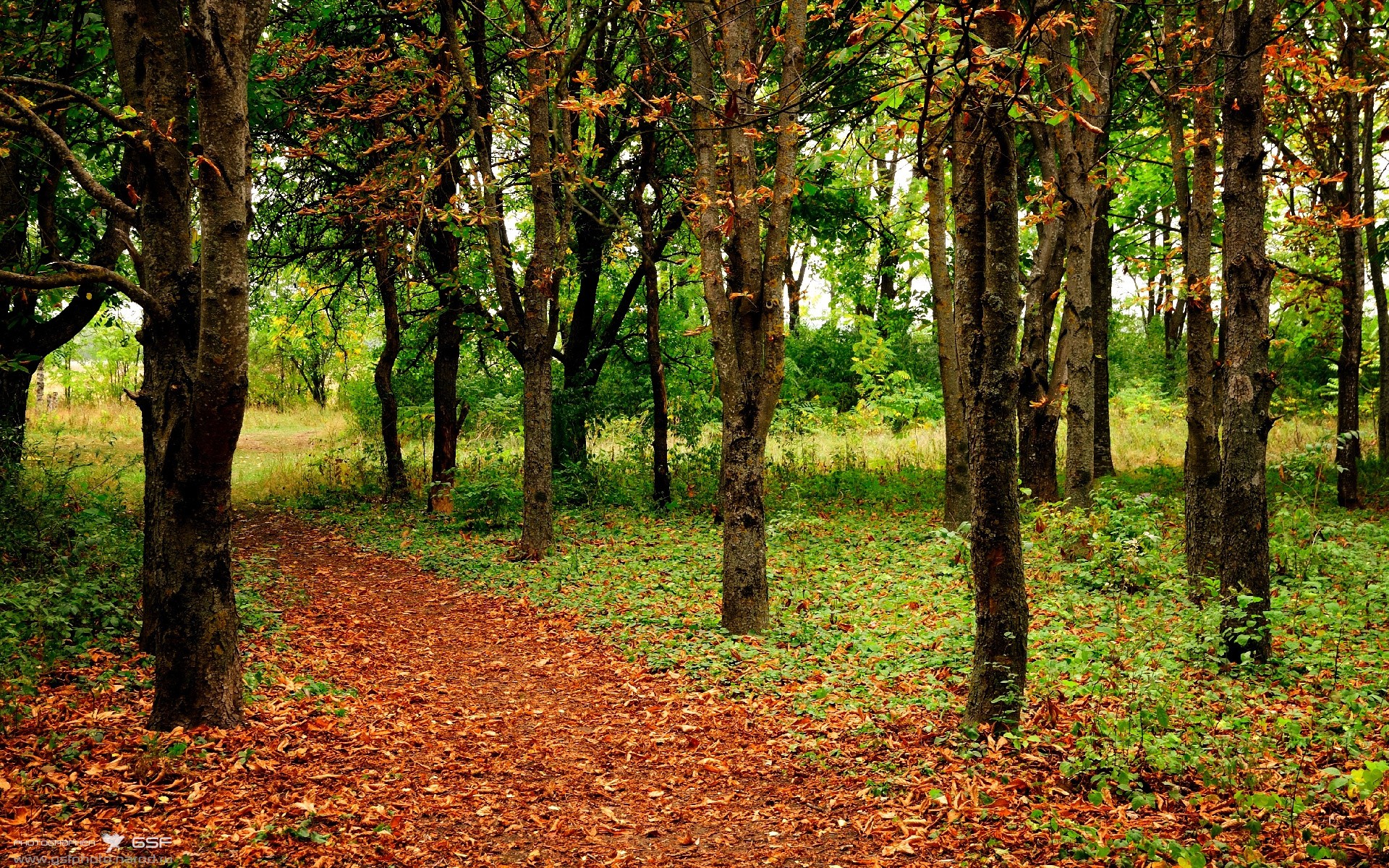 中国男篮强调团队协作 构建整体攻防体系，中国男篮队内训练