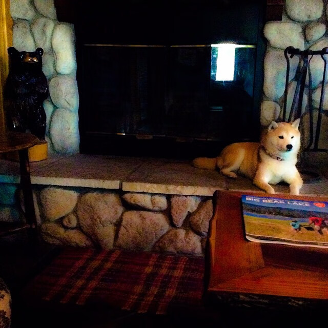 开云入口-中美澳接力表现分段图表曝光，中美澳联合国际官方网站