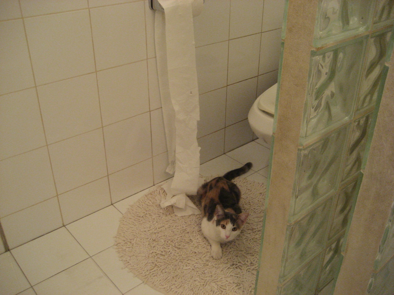 法甲惊天逆转：逆境中重生，成就奇迹，法甲介绍