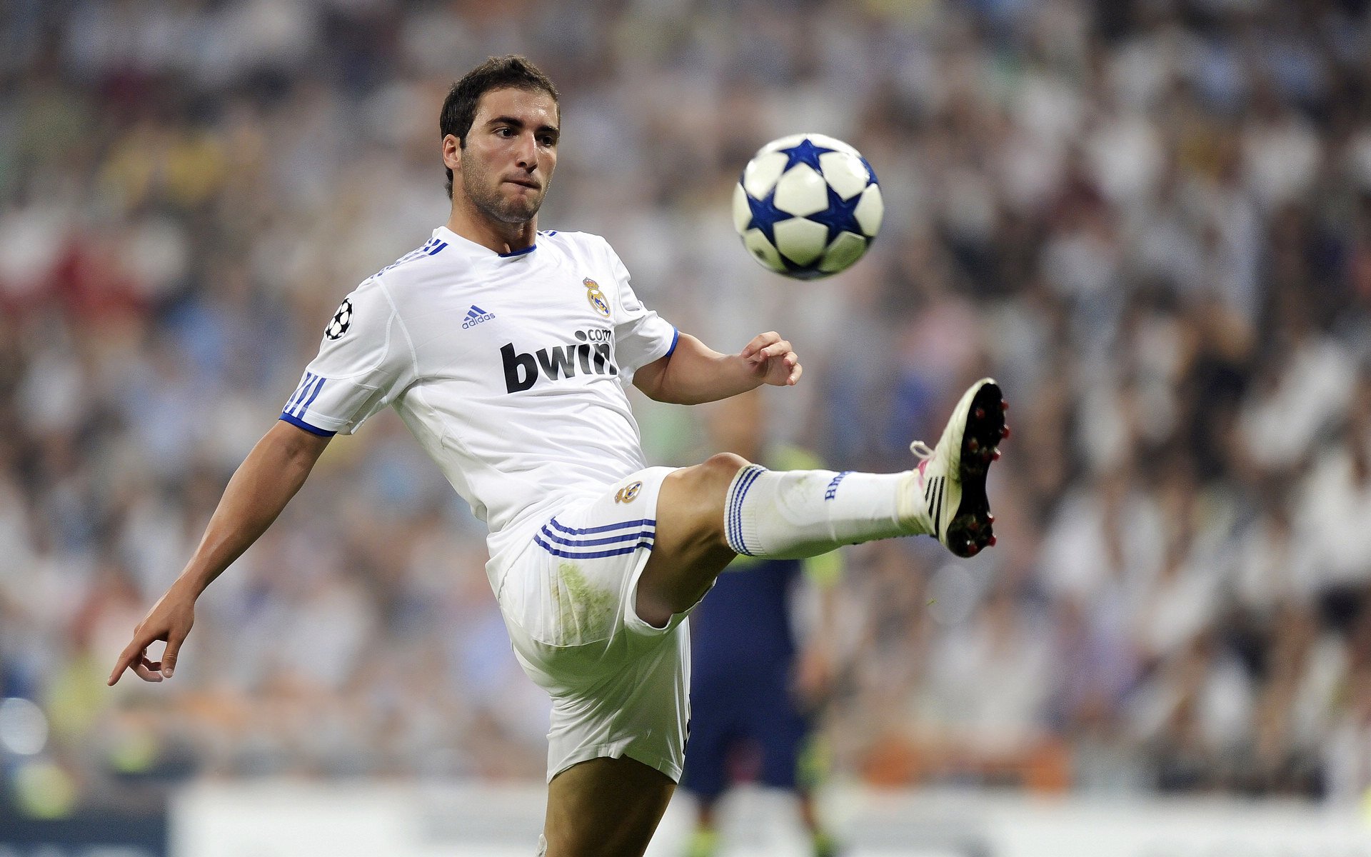 历史上最具争议的欧冠裁判判罚回顾，欧冠裁判说什么语言